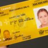 AUSTRALIAN DRIVING LICENSE