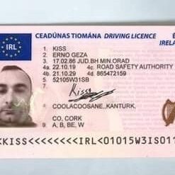 IRISH DRIVER LICENSE