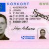 SWEDISH DRIVING LICENSE