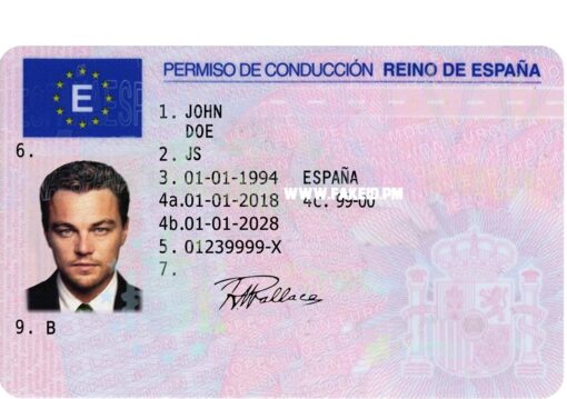 SPANISH DRIVERS LICENSE 