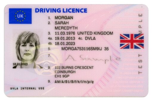 UK DRIVING LICENSE 